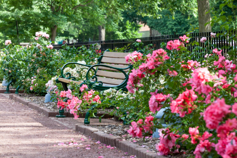 Park Bench Surrounded By Flowers