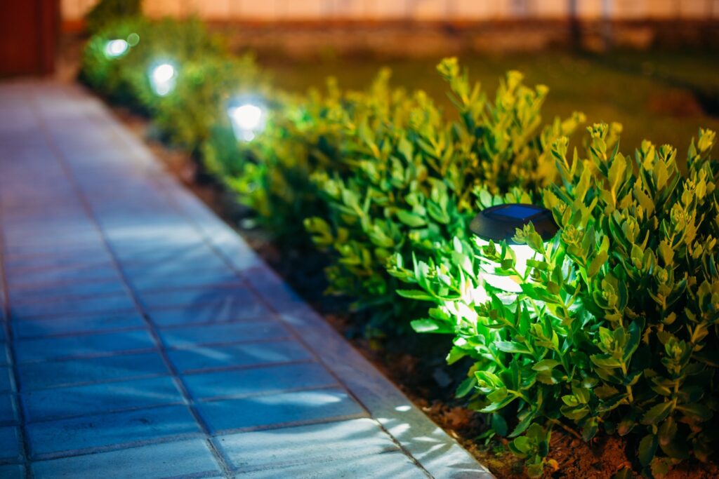Beautiful Lighting Along Pavement | Landscape Improvements