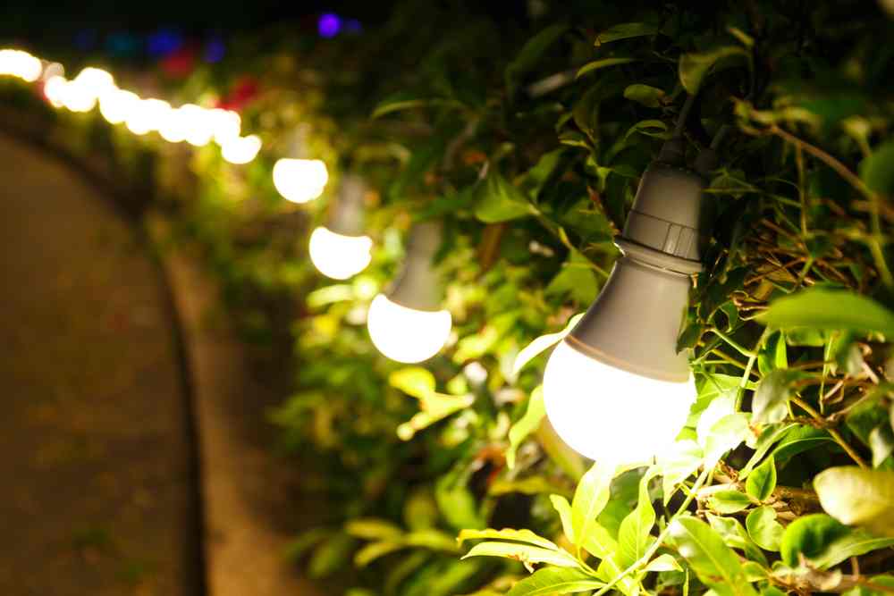 Outdoor Lighting Garden Ideas | Landscape Improvements