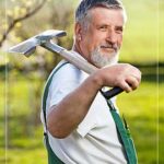 team img2 1 | Landscape Improvements