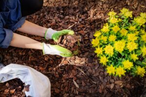 Black Mulch Landscaping | Landscape Improvements