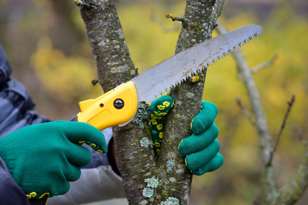 Arbor Care Tree Service Landscape Improvements