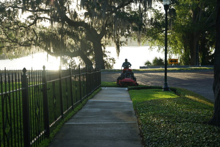 D8F47464 49EC 4479 B7AE 547B00D4B025 | Landscape Improvements