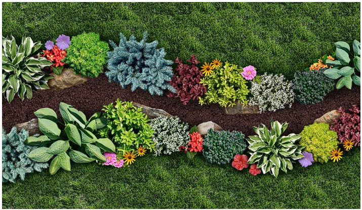 Horticulture Plants | Landscape Improvements